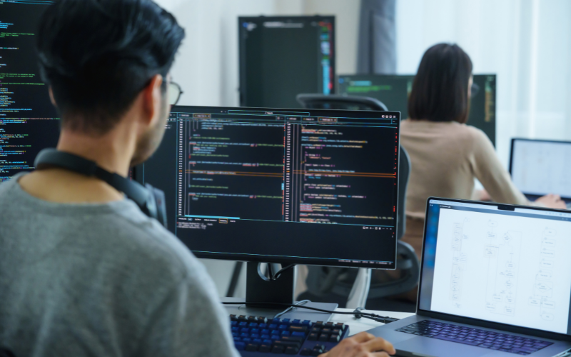 Web Development